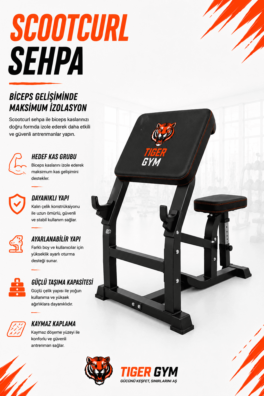 Preacher Curl Bench
